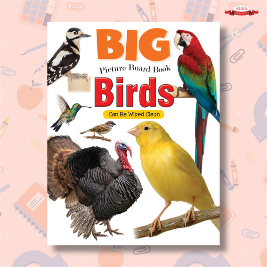 Big Picture Board Book Birds